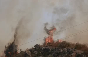Παλαιολόγου: «Αν δεν συνδυαστεί η πρόληψη με την καταστολή, στο μέλλον δεν θα σβήνουν οι φωτιές»