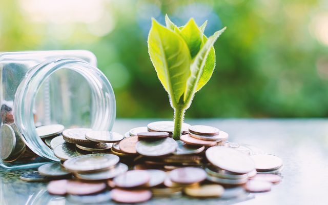 Plant growing from coins outside the glass jar on blurred green
