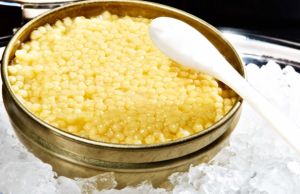 Από χαβιάρι με 113.600 δολάρια το κιλό έως τρούφες – Τα 10 πιο ακριβά φαγητά στον κόσμο