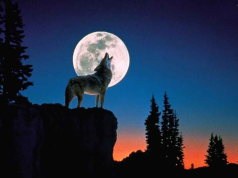 Πανσέληνος του λύκου στις 25/01/2024: Τα 4 ζώδια που θα έχουν αλλαγές και πιέσεις…