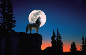 Πανσέληνος του λύκου στις 25/01/2024: Τα 4 ζώδια που θα έχουν αλλαγές και πιέσεις…