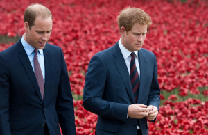 Πριγκίπας Χάρι: Φτάνει σήμερα στη Βρετανία – Δεν έχει μιλήσει ακόμα με τον αδερφό του