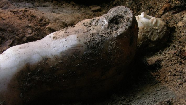 image_2024-02-13_145546549