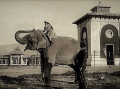 Ξηροτάγαρο – Το πρώτο αεροδρόμιο και ζωολογικός κήπος της Αθήνας