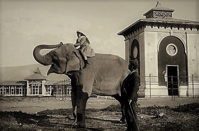 image_2024-04-19_133344105